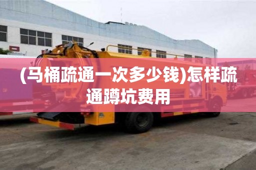 (馬桶疏通一次多少錢)怎樣疏通蹲坑費用