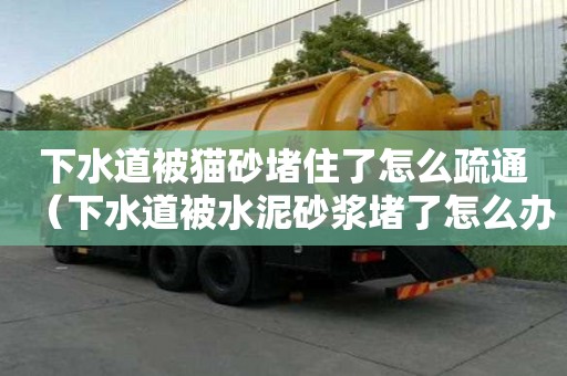 下水道被貓砂堵住了怎么疏通（下水道被水泥砂漿堵了怎么辦）