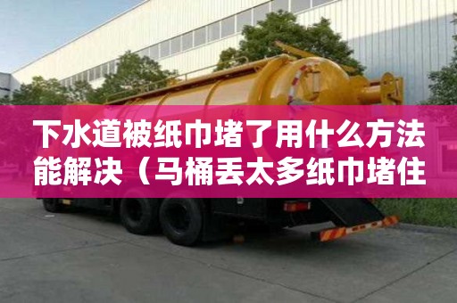 下水道被紙巾堵了用什么方法能解決（馬桶丟太多紙巾堵住了怎么辦）