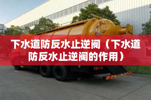 下水道防反水止逆閥（下水道防反水止逆閥的作用）