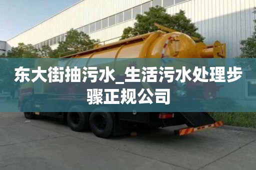 東大街抽污水_生活污水處理步驟正規公司