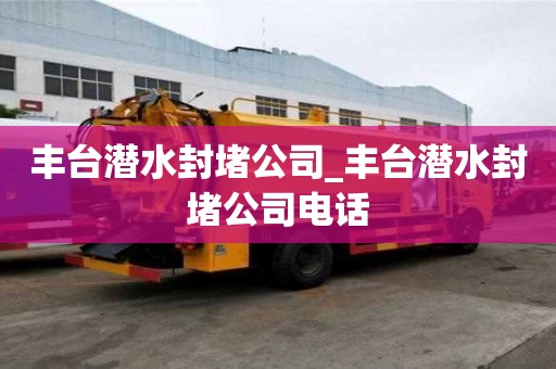 豐臺潛水封堵公司_豐臺潛水封堵公司電話