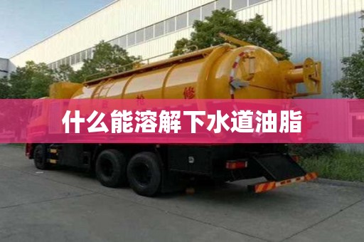 什么能溶解下水道油脂