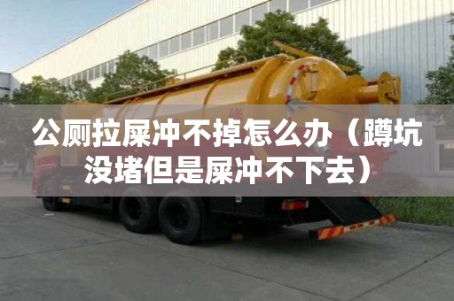 公廁拉屎沖不掉怎么辦（蹲坑沒堵但是屎沖不下去）