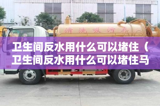 衛生間反水用什么可以堵?。ㄐl生間反水用什么可以堵住馬桶）