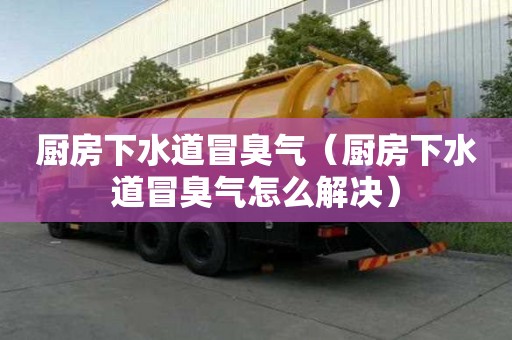 廚房下水道冒臭氣（廚房下水道冒臭氣怎么解決）