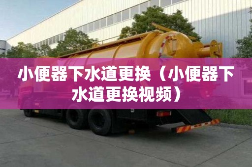 小便器下水道更換（小便器下水道更換視頻）