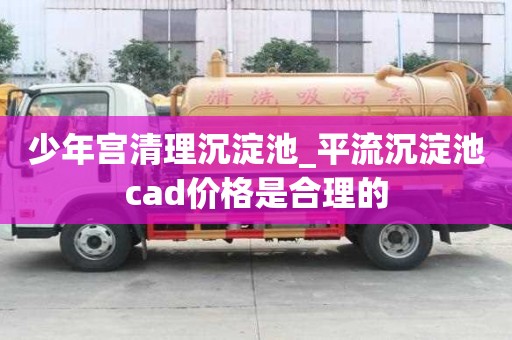 少年宮清理沉淀池_平流沉淀池cad價(jià)格是合理的