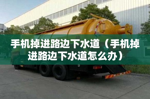 手機掉進路邊下水道（手機掉進路邊下水道怎么辦）