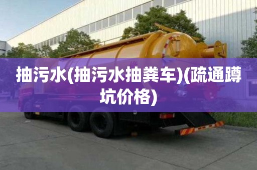 抽污水(抽污水抽糞車)(疏通蹲坑價格)