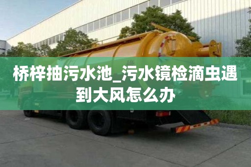 橋梓抽污水池_污水鏡檢滴蟲遇到大風怎么辦