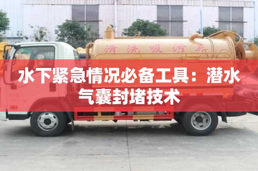 水下緊急情況必備工具：潛水氣囊封堵技術(shù)