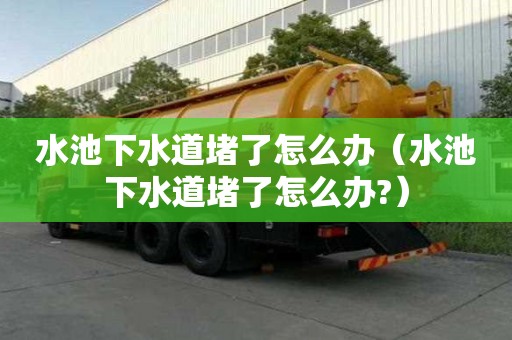 水池下水道堵了怎么辦（水池下水道堵了怎么辦?）