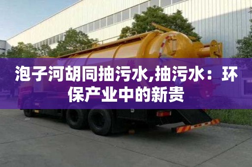 泡子河胡同抽污水,抽污水：環保產業中的新貴