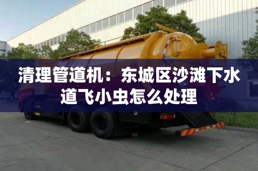 清理管道機：東城區(qū)沙灘下水道飛小蟲怎么處理