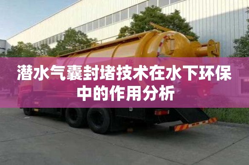 潛水氣囊封堵技術在水下環保中的作用分析