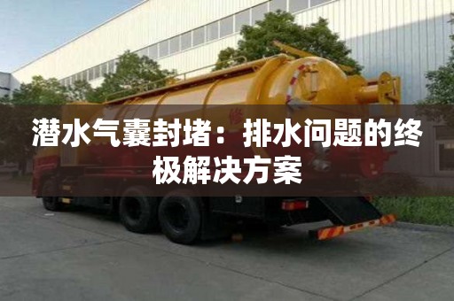 潛水氣囊封堵：排水問題的終極解決方案