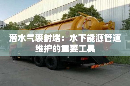 潛水氣囊封堵：水下能源管道維護(hù)的重要工具