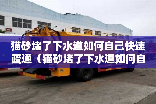 貓砂堵了下水道如何自己快速疏通（貓砂堵了下水道如何自己快速疏通）