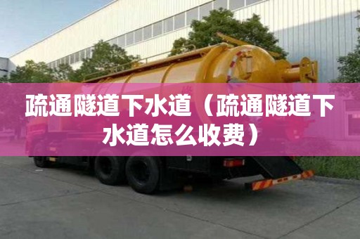 疏通隧道下水道（疏通隧道下水道怎么收費）