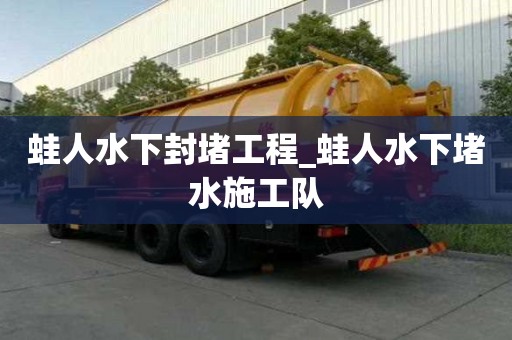 蛙人水下封堵工程_蛙人水下堵水施工隊