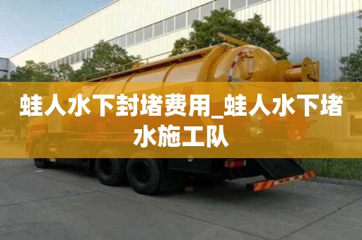 蛙人水下封堵費用_蛙人水下堵水施工隊