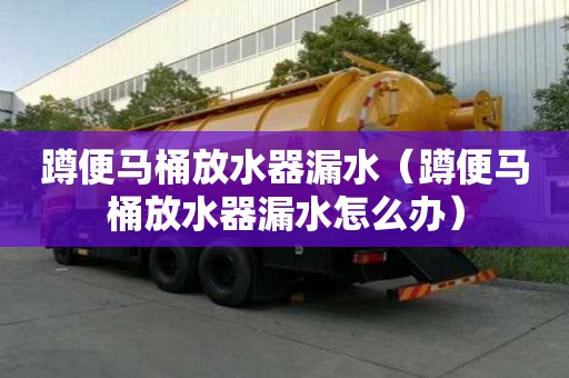 蹲便馬桶放水器漏水（蹲便馬桶放水器漏水怎么辦）