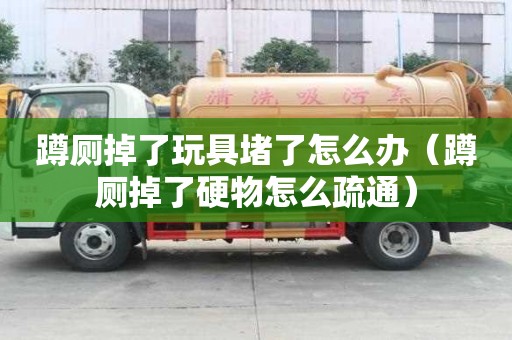 蹲廁掉了玩具堵了怎么辦（蹲廁掉了硬物怎么疏通）