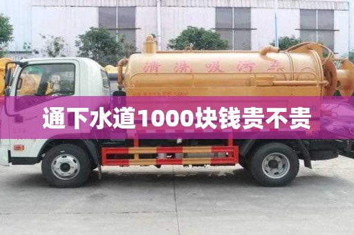 通下水道1000塊錢(qián)貴不貴