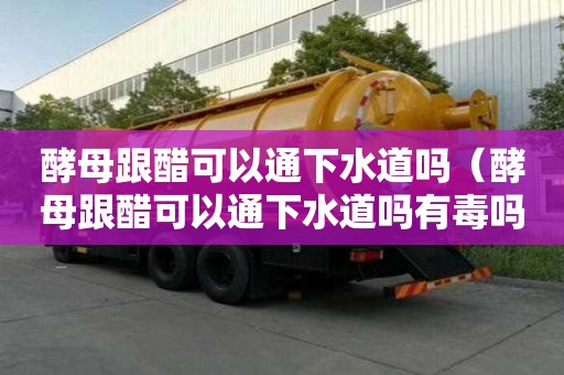 酵母跟醋可以通下水道嗎（酵母跟醋可以通下水道嗎有毒嗎）