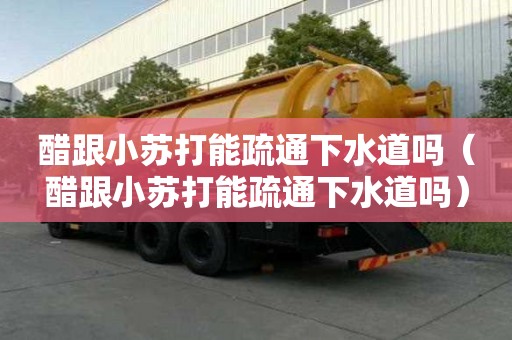 醋跟小蘇打能疏通下水道嗎（醋跟小蘇打能疏通下水道嗎）