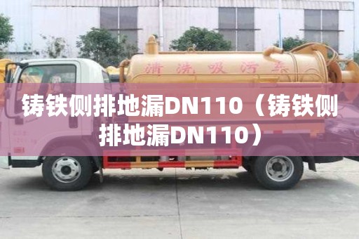 鑄鐵側排地漏DN110（鑄鐵側排地漏DN110）