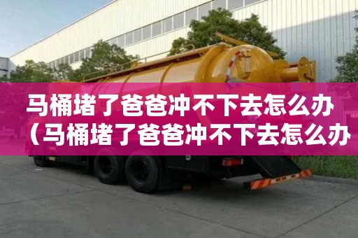 馬桶堵了爸爸沖不下去怎么辦（馬桶堵了爸爸沖不下去怎么辦呢）