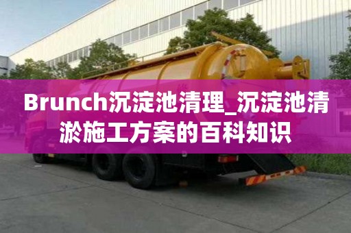 Brunch沉淀池清理_沉淀池清淤施工方案的百科知識