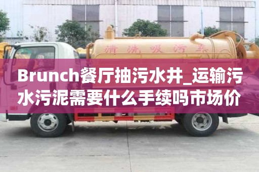 Brunch餐廳抽污水井_運輸污水污泥需要什么手續嗎市場價格