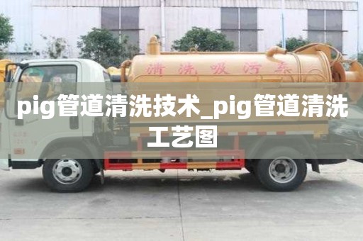 pig管道清洗技術(shù)_pig管道清洗工藝圖