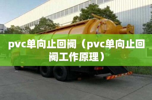 pvc單向止回閥（pvc單向止回閥工作原理）