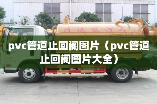 pvc管道止回閥圖片（pvc管道止回閥圖片大全）